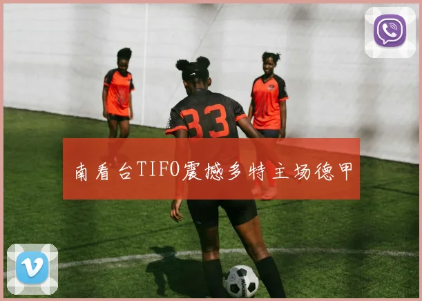南看台TIFO震撼多特主场德甲