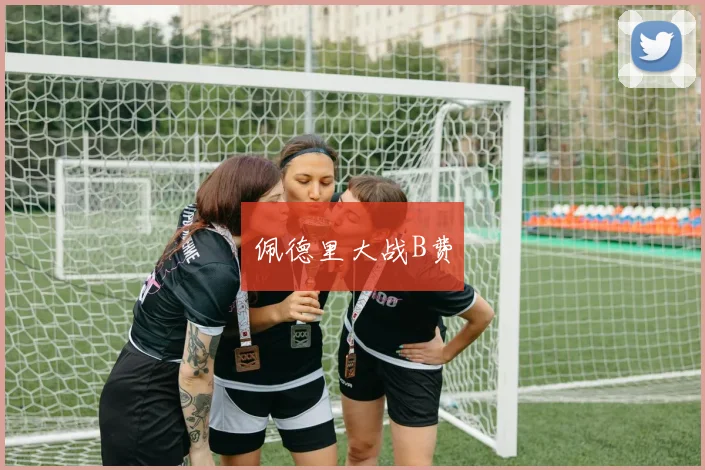佩德里大战B费