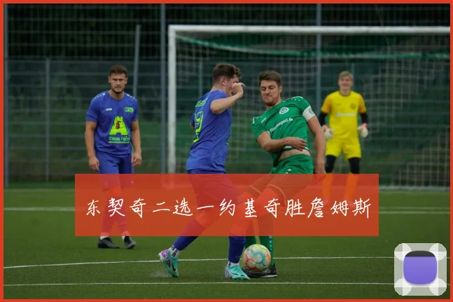 东契奇二选一约基奇胜詹姆斯