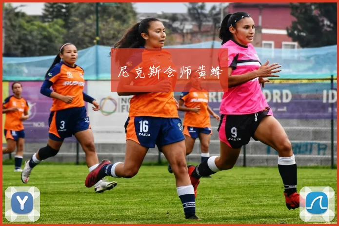 尼克斯会师黄蜂