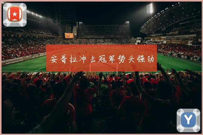 安哥拉冲击冠军势头强劲