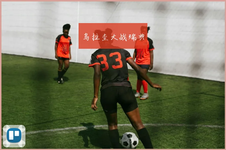 乌拉圭大战瑞典