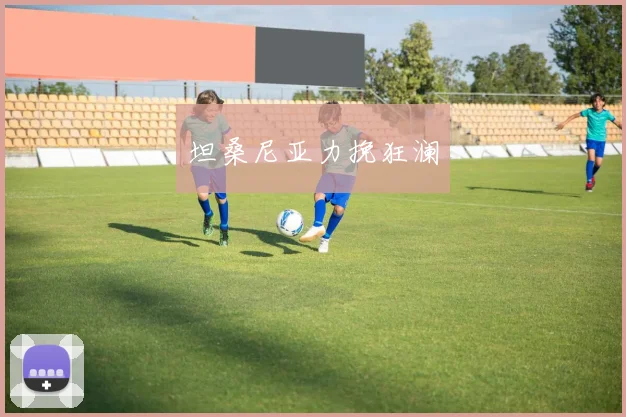 坦桑尼亚力挽狂澜