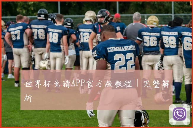 世界杯竞猜APP官方版教程｜完整解析