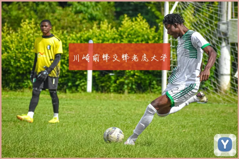 川崎前锋交锋老虎大学