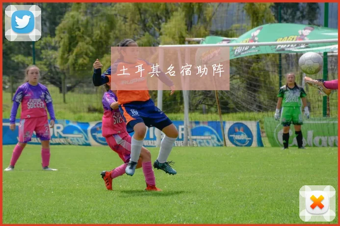 土耳其名宿助阵