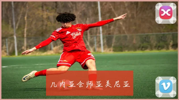 几内亚会师亚美尼亚