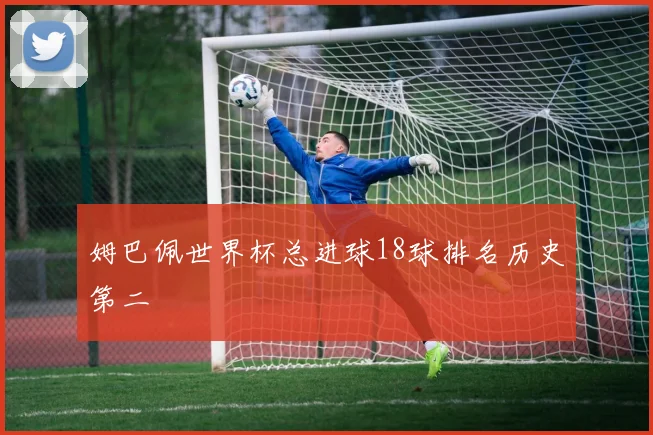 姆巴佩世界杯总进球18球排名历史第二
