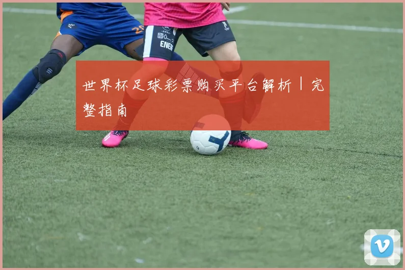 世界杯足球彩票购买平台解析｜完整指南