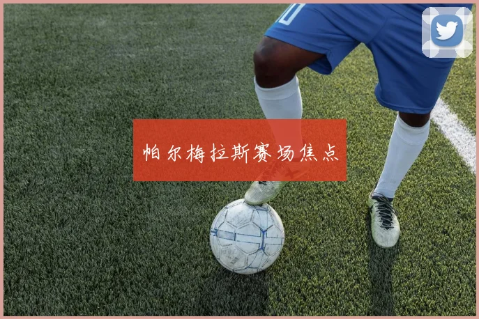 帕尔梅拉斯赛场焦点