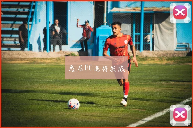悉尼FC老将发威