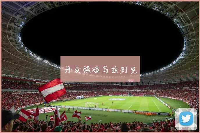 丹麦强碰乌兹别克