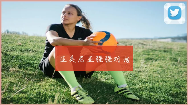 亚美尼亚强强对话