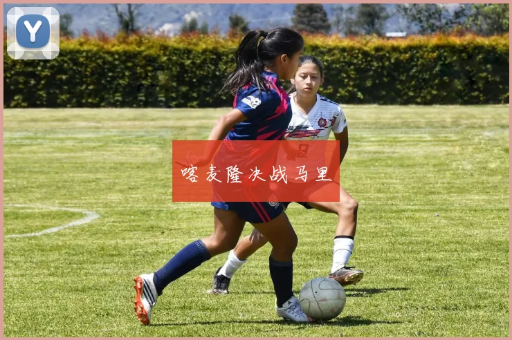 喀麦隆决战马里