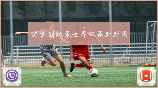 奖金创纪录世界杯最新新闻