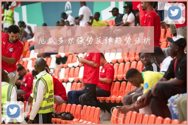 厄瓜多尔强势反弹趋势分析