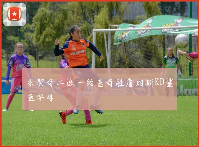 东契奇二选一约基奇胜詹姆斯KD鲨鱼字母