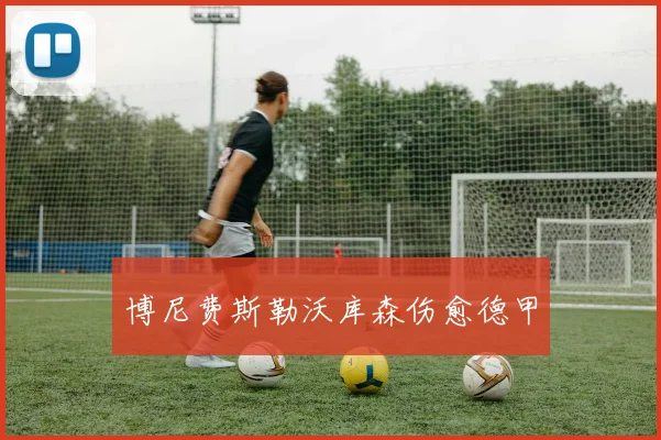博尼费斯勒沃库森伤愈德甲