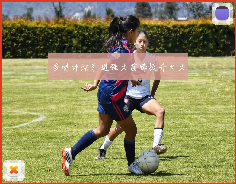 多特计划引进强力前锋提升火力