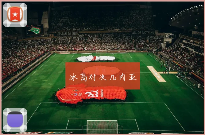 冰岛对决几内亚