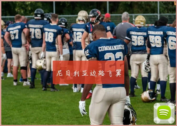 尼日利亚边路飞翼
