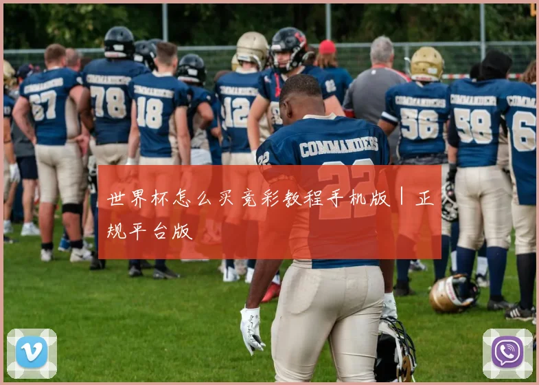 世界杯怎么买竞彩教程手机版｜正规平台版