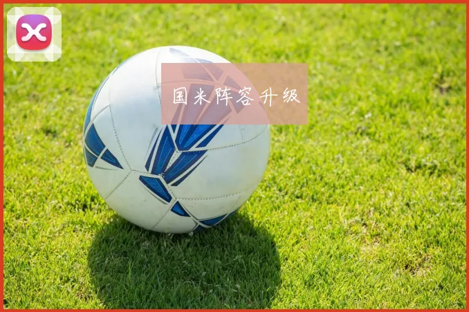 国米阵容升级