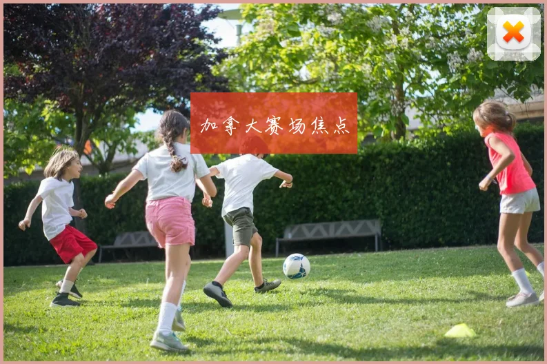 加拿大赛场焦点