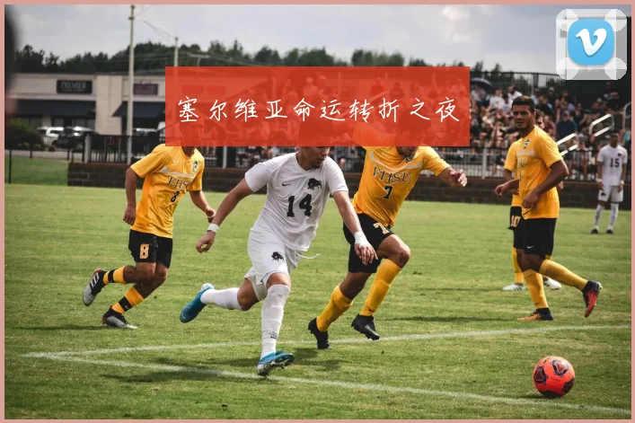 塞尔维亚命运转折之夜