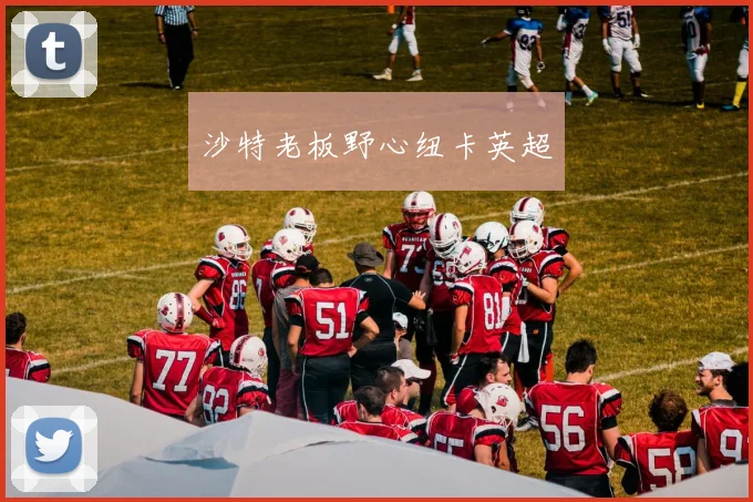 沙特老板野心纽卡英超