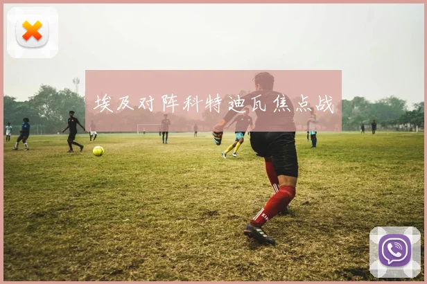 埃及对阵科特迪瓦焦点战