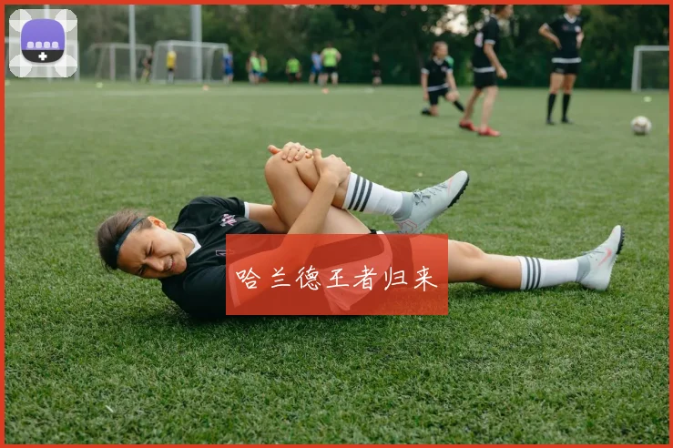 哈兰德王者归来