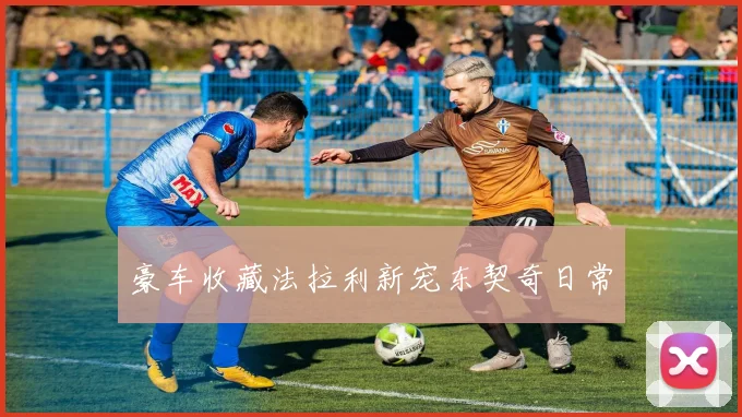 豪车收藏法拉利新宠东契奇日常