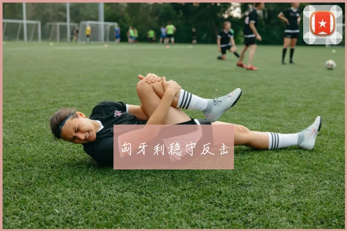 匈牙利稳守反击