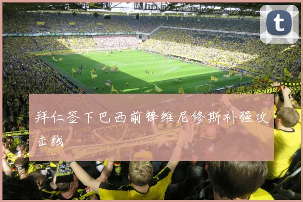 拜仁签下巴西前锋维尼修斯补强攻击线
