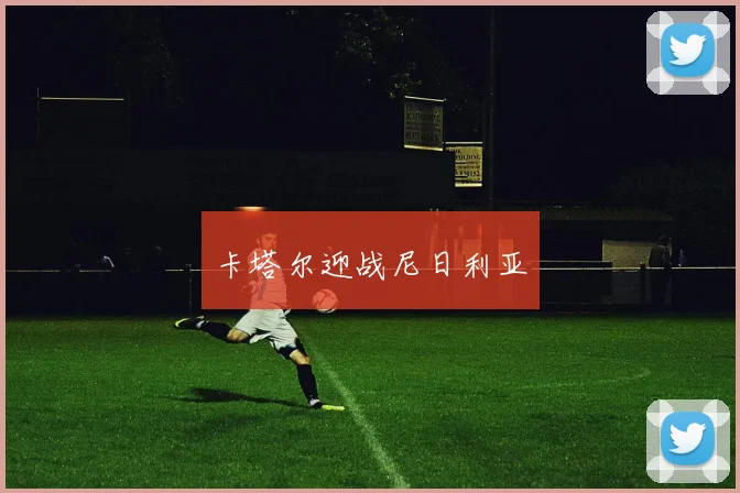 卡塔尔迎战尼日利亚