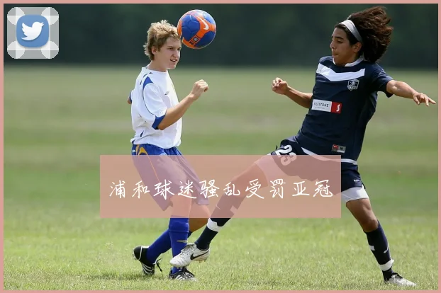 浦和球迷骚乱受罚亚冠