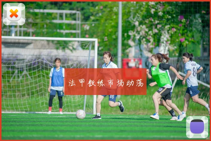 法甲教练市场动荡