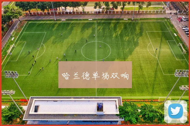 哈兰德单场双响