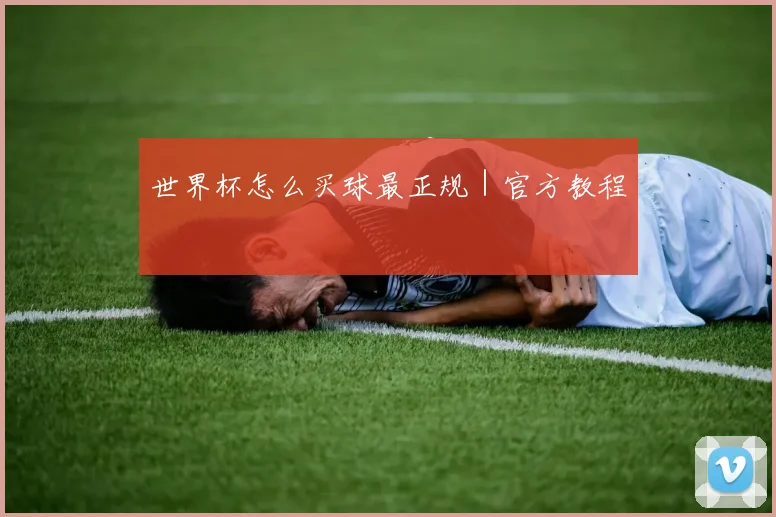 世界杯怎么买球最正规｜官方教程