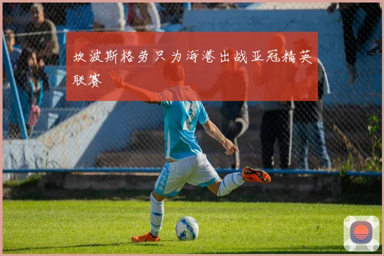 坎波斯格劳只为海港出战亚冠精英联赛