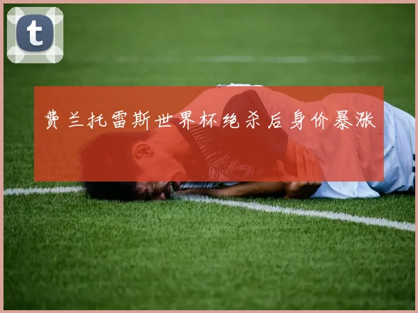 费兰托雷斯世界杯绝杀后身价暴涨