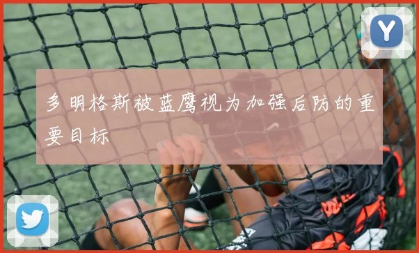 多明格斯被蓝鹰视为加强后防的重要目标