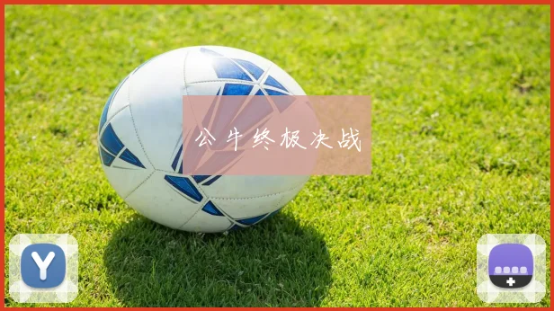 公牛终极决战