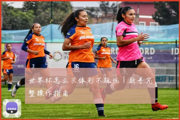 世界杯怎么买体彩不踩坑｜新手完整操作指南
