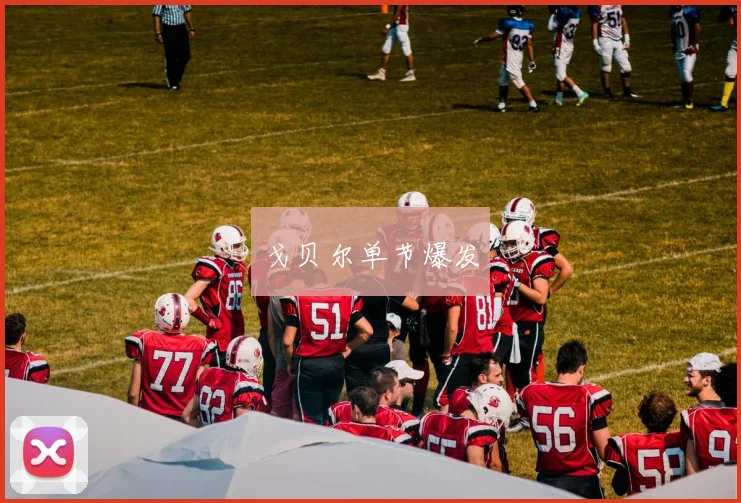 戈贝尔单节爆发