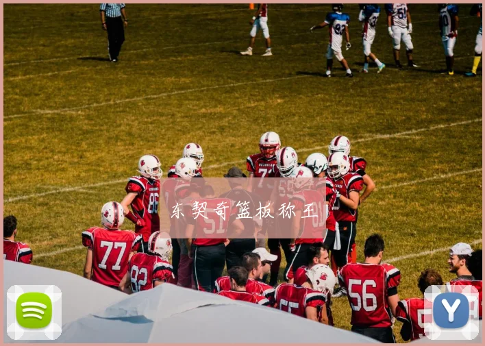 东契奇篮板称王