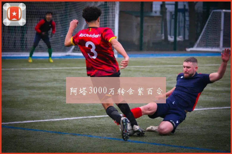 阿塔3000万转会紫百合