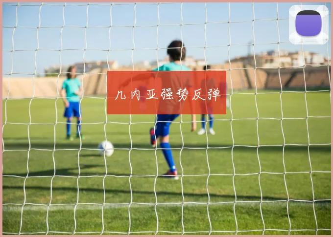 几内亚强势反弹