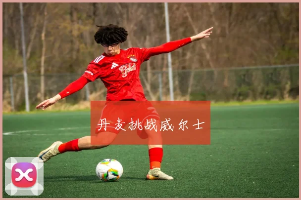 丹麦挑战威尔士